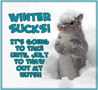 Funny Quotes Winter Humor_ QuotesGram.jpeg