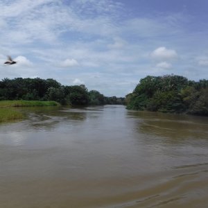 Amazon River5.jpg Amazon River5.jpg