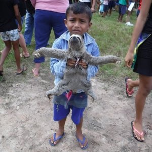 Amazon River6.jpg Amazon River6.jpg