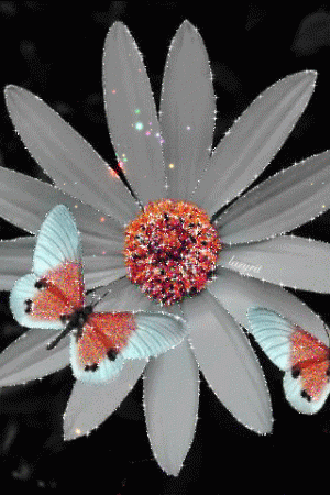 Flower-Gif-romantic-gif-flowers.gif