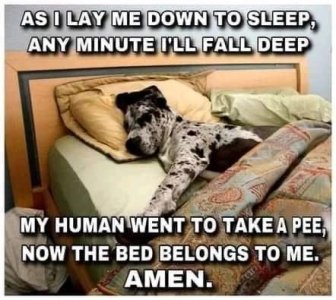 C163F3E4-5D67-4606-91EF-46C6F374E32B.jpeg