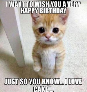 0b42a29e95879e8569a1760baff3f29c[1].jpg