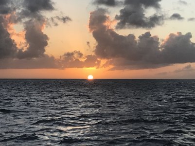 Amazon Sunset.jpg