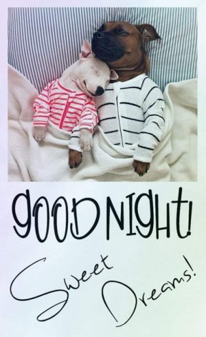 FB_IMG_1650177893919.jpg