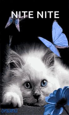nite-goodnight.gif