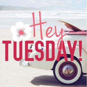 Good Morning, Happy Tuesday Have Great Day….jpeg