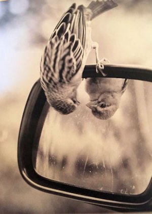 Reflection @.jpg