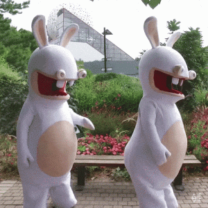 content_image_5ff6dd4d358d3.gif