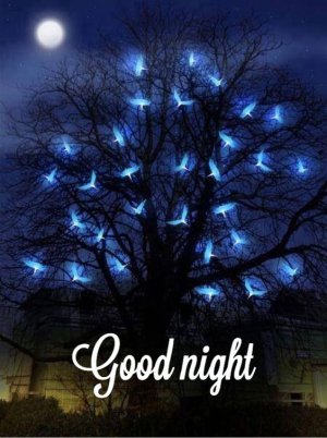 Good-Night-Images-1.jpg