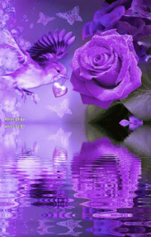 beautiful-flower.gif