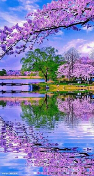 Nature-Wallpapersun-8.jpg