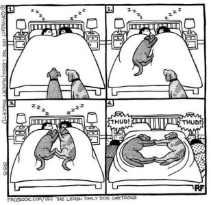 FB_IMG_1650504120065.jpg
