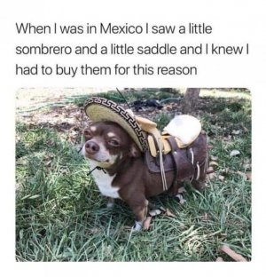 FB_IMG_1650526195841.jpg