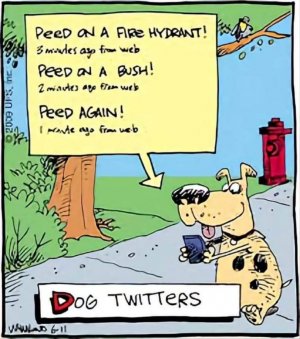 FB_IMG_1650544132162.jpg