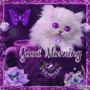 376080-Purple-Eyed-Good-Morning-Gif.gif