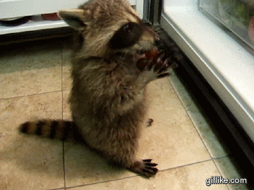 YeI2.gif