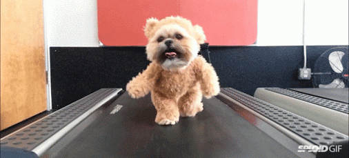 tumblr_nfodzdlXuk1r6q4zxo1_1280.gif
