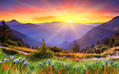 Awesome-Sunset-sun-rays-forested-mountains-beautiful-mountain-flowers-with-green-grass-Desktop...jpg