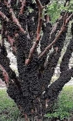 278612871_3303151063250732_1985382726775524815_n.jpg
