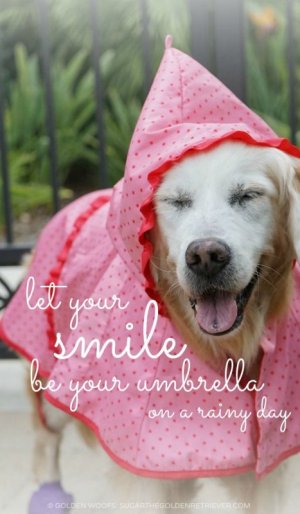 Let Your Smile Be Your Umbrella On A Rainy Day -.jpeg