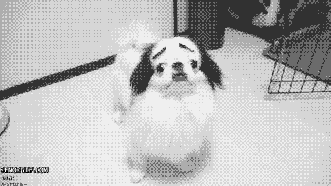 tumblr_mewcpuw6AQ1rgmnfvo1_500.gif
