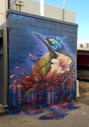 Scott_Nagy_Mackay_Laneway.jpg