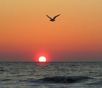 2013-4-4-2013-A-Beautiful-Morning-Sunrise1.jpg