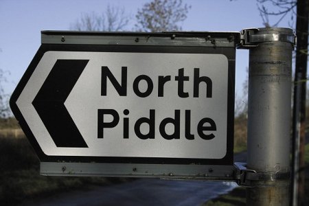 piddle.jpg