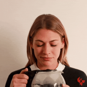 giphy-downsized-large.gif
