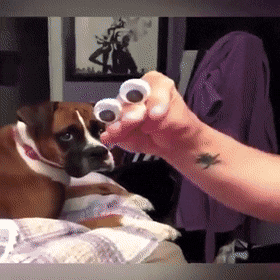 tumblr_ph9ycaAb0v1tp25rio1_400.gif