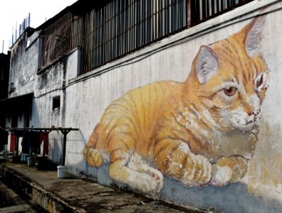 penang-street-art-The-Giant-Cat-Mural-Skippy.jpg