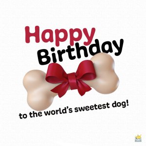 to_dog.jpeg
