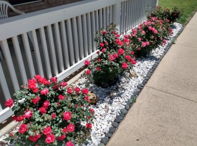 IMG_20220426_134544392_HDR.jpg IMG_20220426_134544392_HDR.jpg