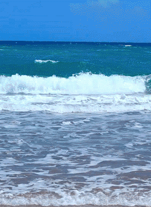 2b3a103594a218b6827e5fbbdbd0fb9d.gif