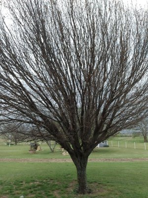 IMG_20220412_123404463.jpg IMG_20220412_123404463.jpg