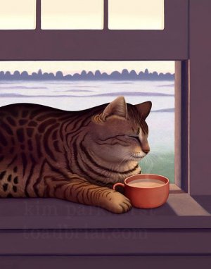 catt.jpg