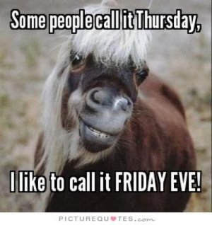 101 Funny Thursday Memes That Work Day and Night to Make You Happy.jpeg