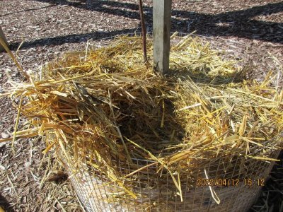 220412 de-mulching 06.jpg