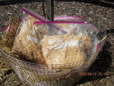 220412 de-mulching 07.jpg