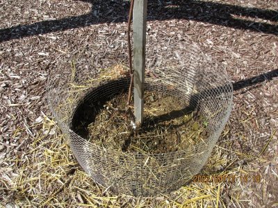 220412 de-mulching 09.jpg