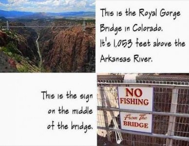 3591AB20-AE61-4F3D-8296-A30E3C3A961E.jpeg