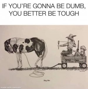 FB_IMG_1639836289764.jpg FB_IMG_1639836289764.jpg