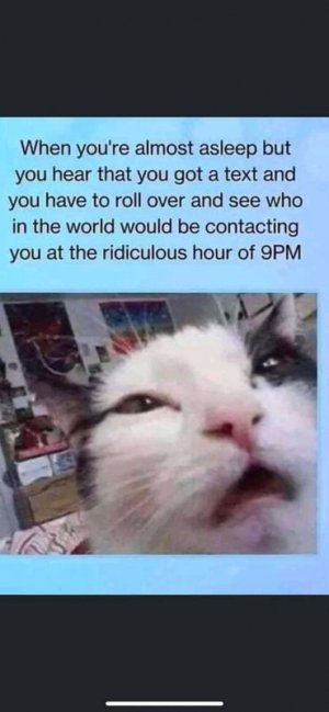 1650920363371.jpg