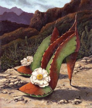 San-Raphael-Spikes.jpg