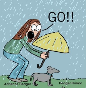 My dog in the rain - Hedger Humor.jpeg
