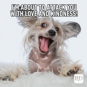 KindnessMemes12.jpg