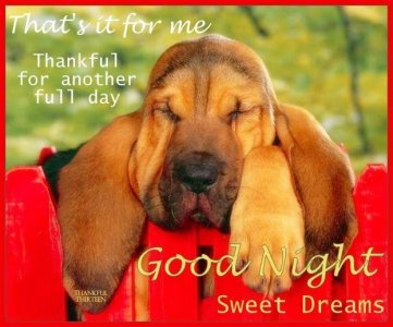 That's It For Me Good Night.jpeg