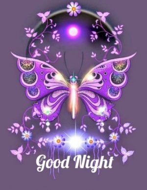 68aeb5714161c769bee2b3a068d6ce17.jpg