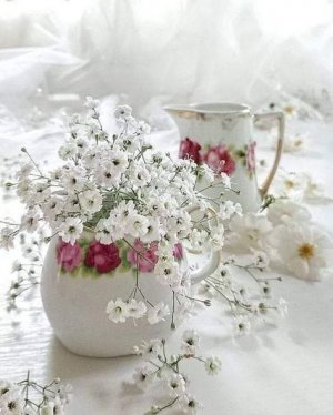 tumblr_81b6a1da3a7a6bb3a014b609e737750e_852d6fe2_500.jpg