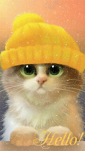 243db229635f4bfca3d27dcd55552875[1].gif